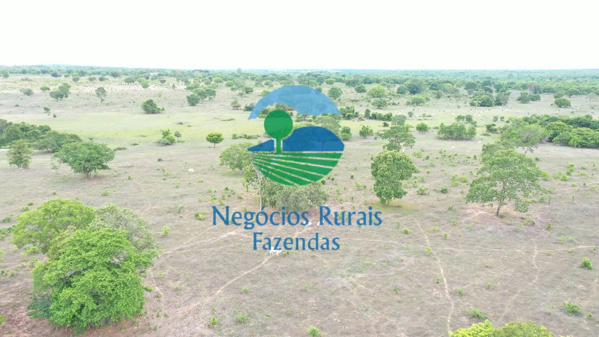 Fazenda à venda de 517 ha em São Valério da Natividade, TO, Brasil