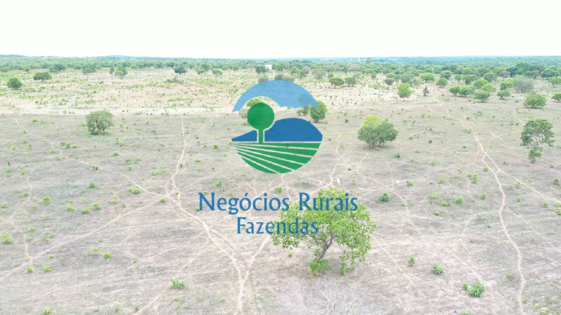 Fazenda à venda de 517 ha em São Valério da Natividade, TO, Brasil