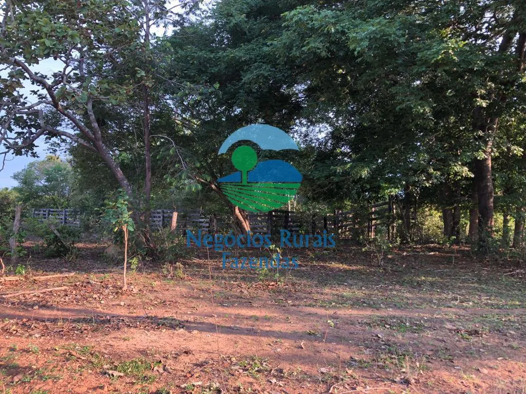 Fazenda à venda de 517 ha em São Valério da Natividade, TO, Brasil