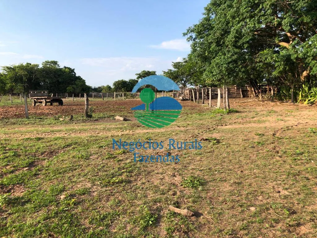 Fazenda à venda de 517 ha em São Valério da Natividade, TO, Brasil
