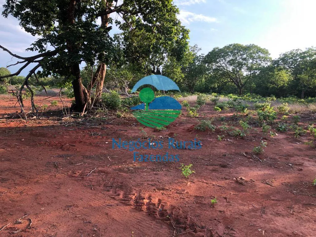 Fazenda à venda de 517 ha em São Valério da Natividade, TO, Brasil