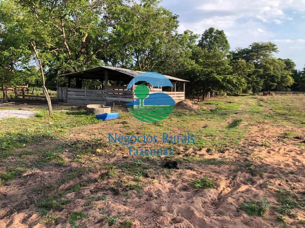 Fazenda à venda de 517 ha em São Valério da Natividade, TO, Brasil