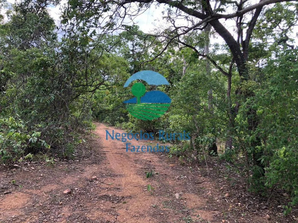 Fazenda à venda de 517 ha em São Valério da Natividade, TO, Brasil