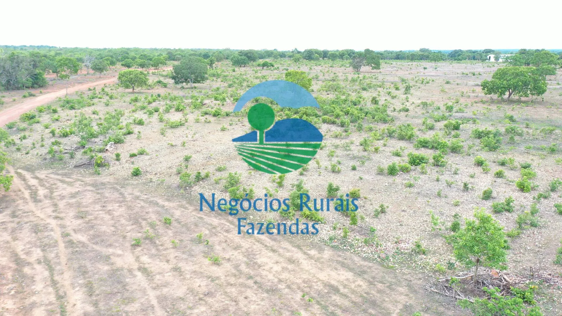 Fazenda à venda de 517 ha em São Valério da Natividade, TO, Brasil