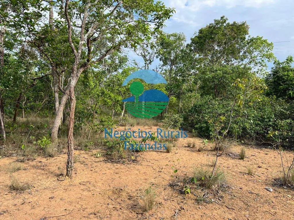 Fazenda à venda de 517 ha em São Valério da Natividade, TO, Brasil