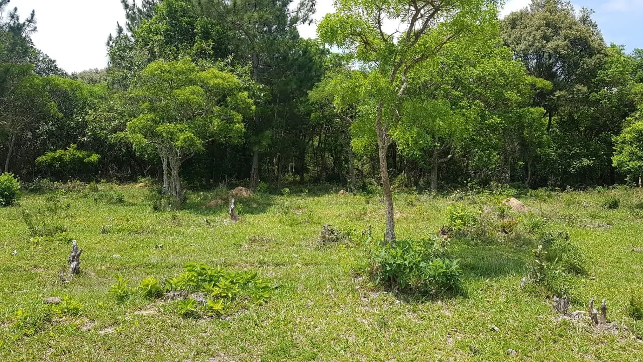 Small farm for sale of 42 acres in Itapetininga, SP, Brazil