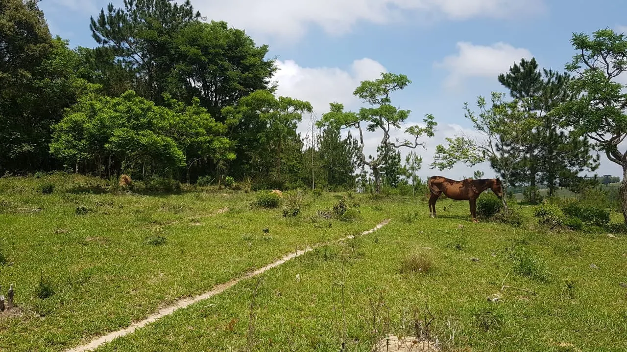 Small farm for sale of 42 acres in Itapetininga, SP, Brazil