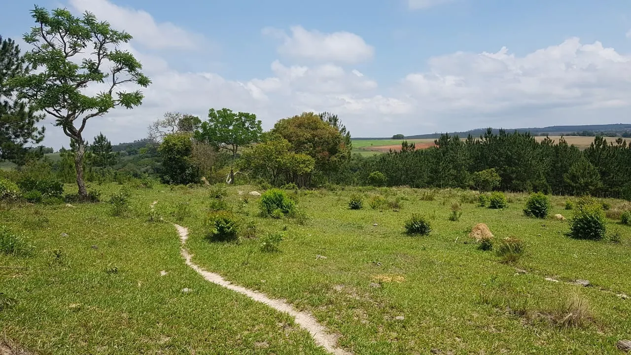 Small farm for sale of 42 acres in Itapetininga, SP, Brazil