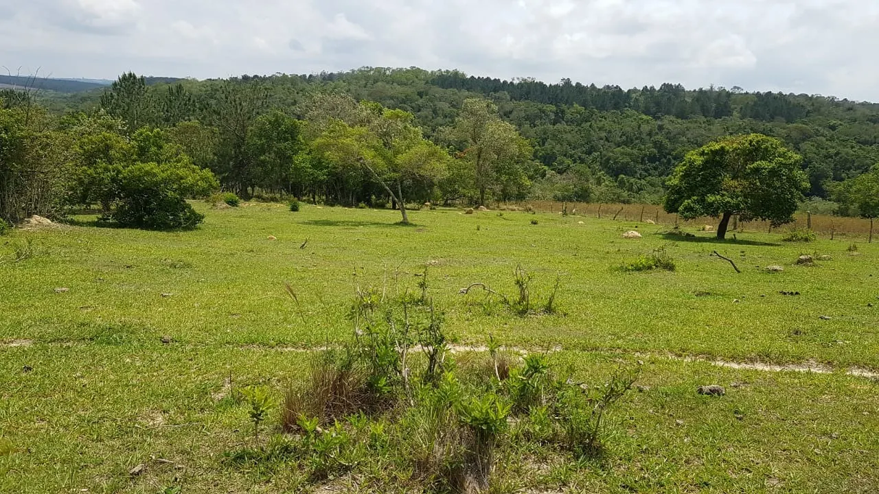 Small farm for sale of 42 acres in Itapetininga, SP, Brazil