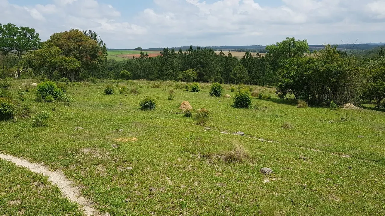 Small farm for sale of 42 acres in Itapetininga, SP, Brazil