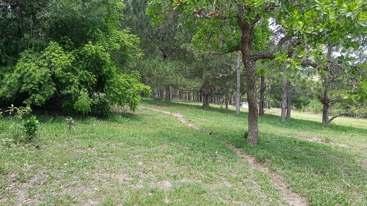 Small farm for sale of 42 acres in Itapetininga, SP, Brazil