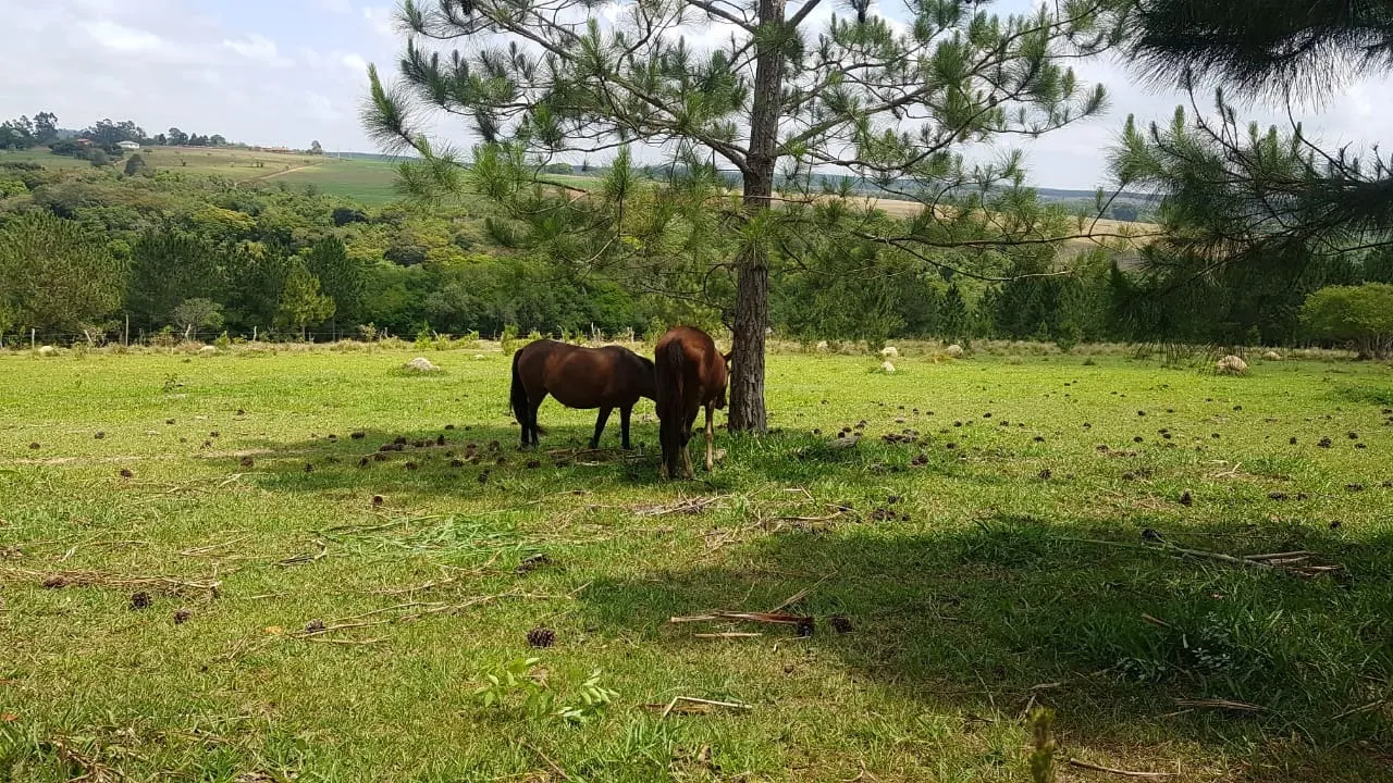 Small farm for sale of 42 acres in Itapetininga, SP, Brazil