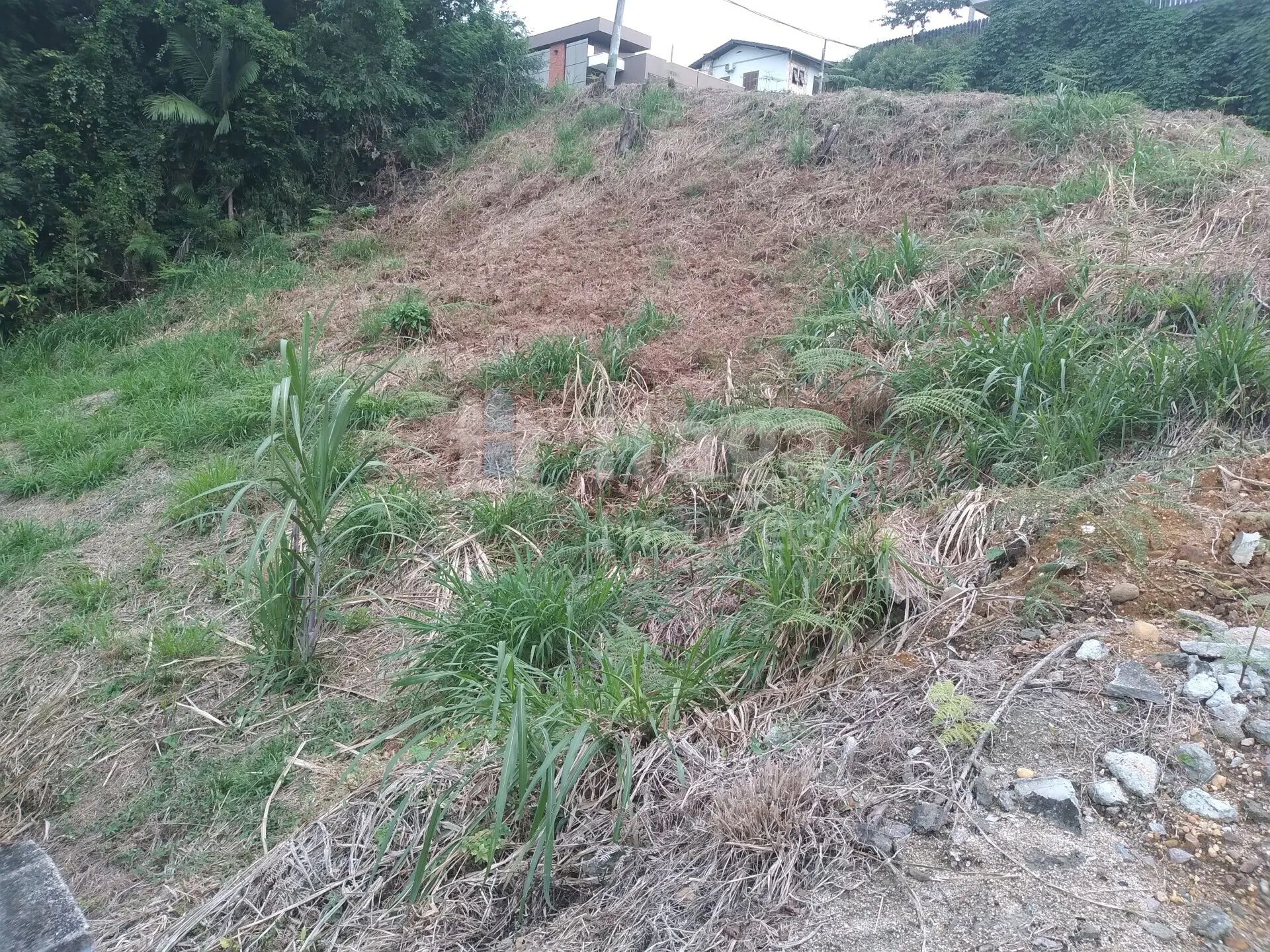 Plot for sale of 490 m² in Brusque, SC, Brazil