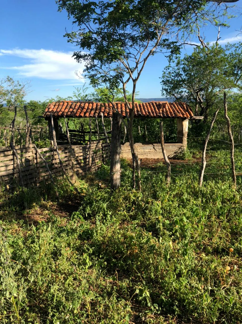 Terreno para Arrendar de 7 ha em Riacho das Almas, PE, Brasil