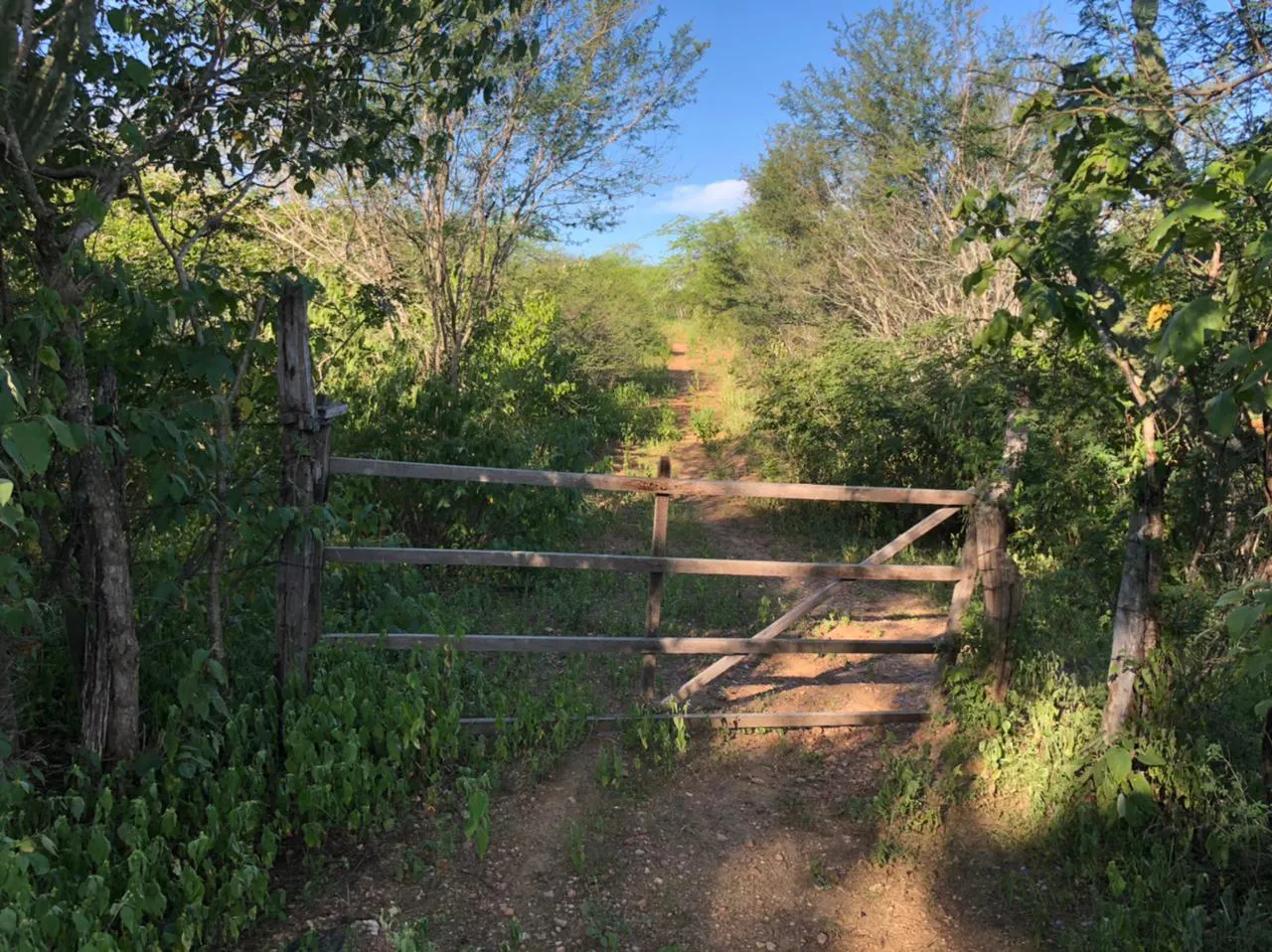 Terreno para Arrendar de 7 ha em Riacho das Almas, PE, Brasil