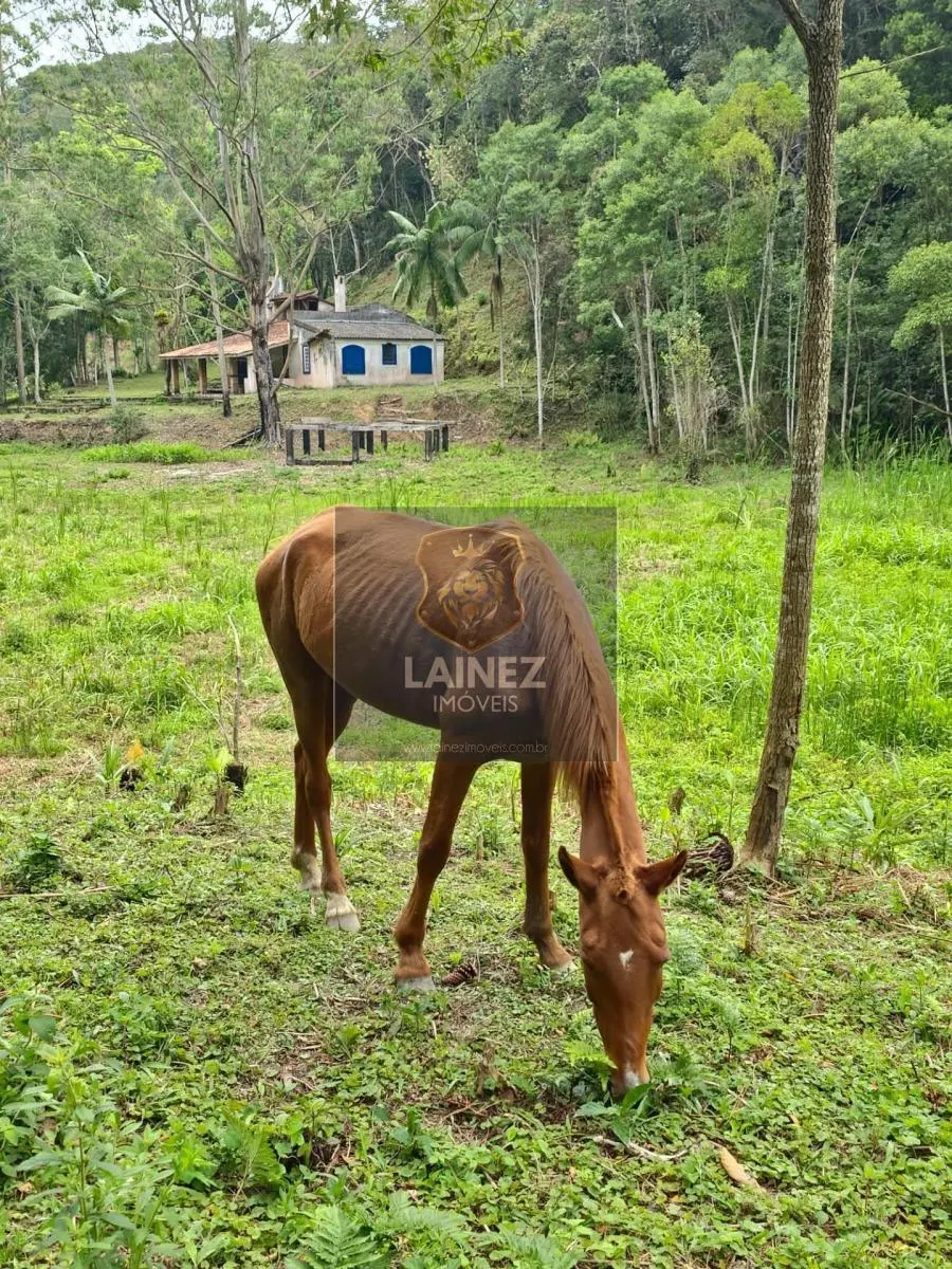 Sítio à venda de 8 ha em Juquitiba, SP, Brasil
