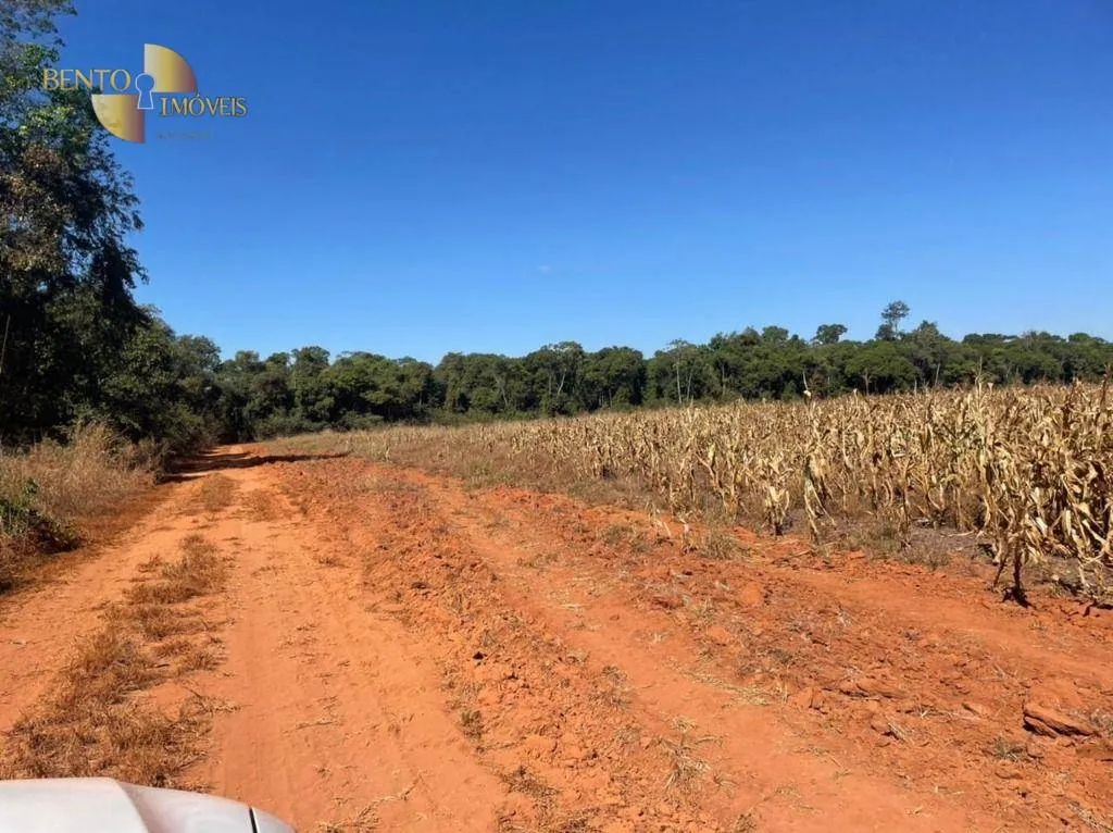 Farm for sale of 6,005 acres in Nova Ubiratã, MT, Brazil