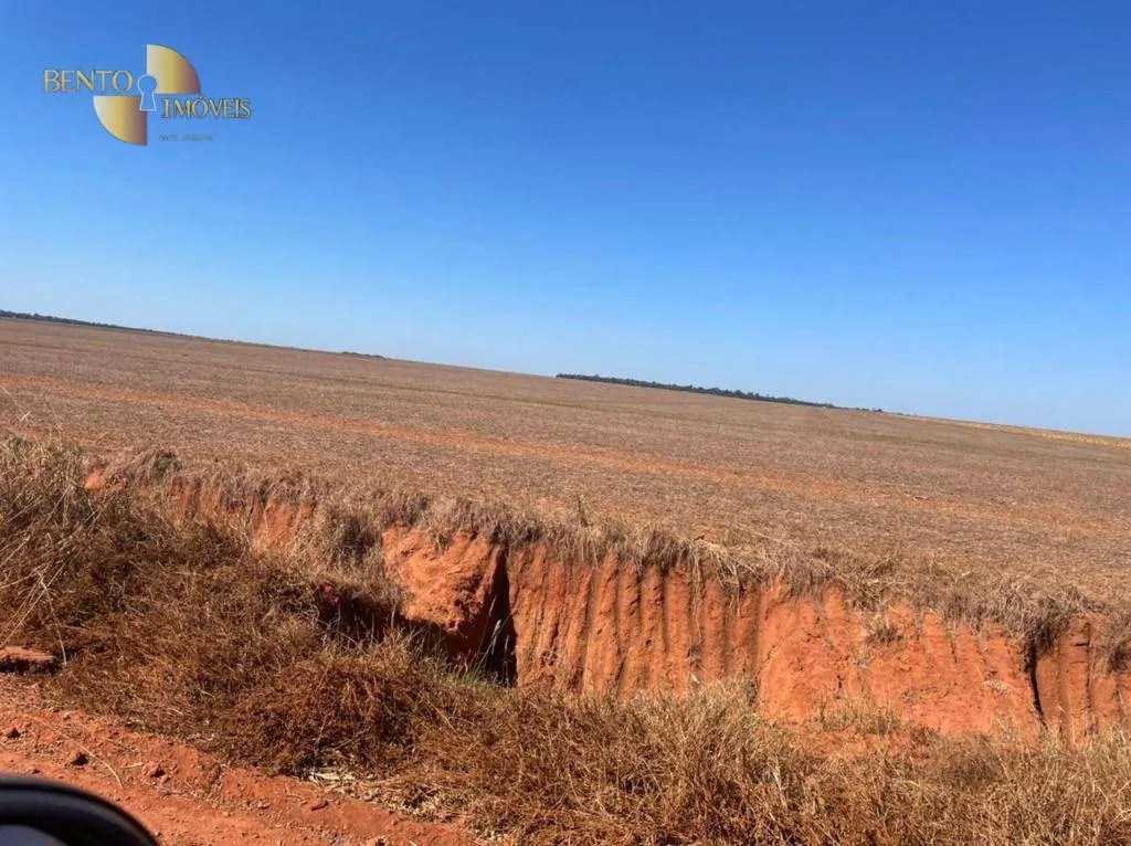 Farm for sale of 6,005 acres in Nova Ubiratã, MT, Brazil