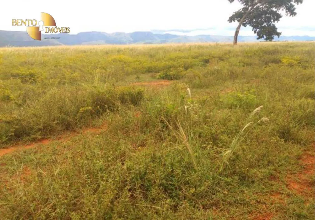 Fazenda à venda de 1.465 ha em Nossa Senhora do Livramento, MT, Brasil