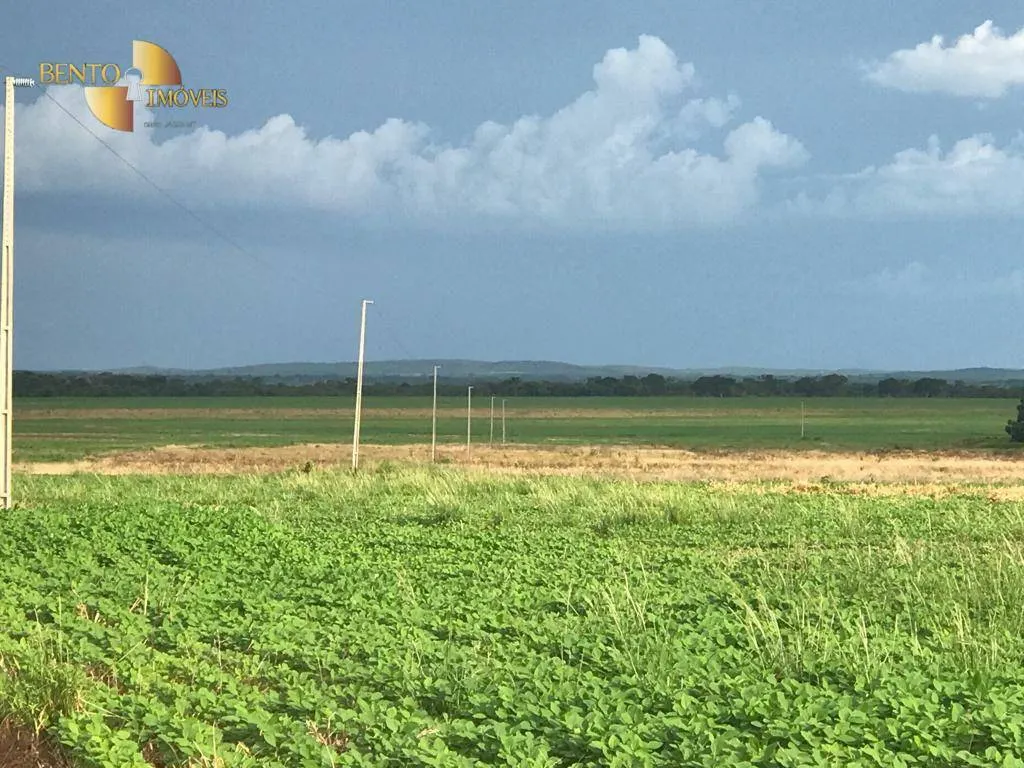 Fazenda à venda de 1.465 ha em Nossa Senhora do Livramento, MT, Brasil