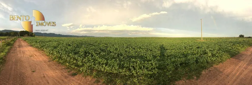 Fazenda à venda de 1.465 ha em Nossa Senhora do Livramento, MT, Brasil