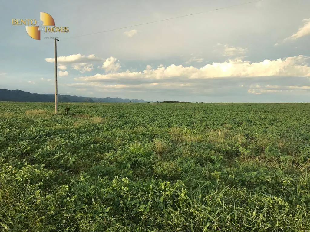 Fazenda à venda de 1.465 ha em Nossa Senhora do Livramento, MT, Brasil