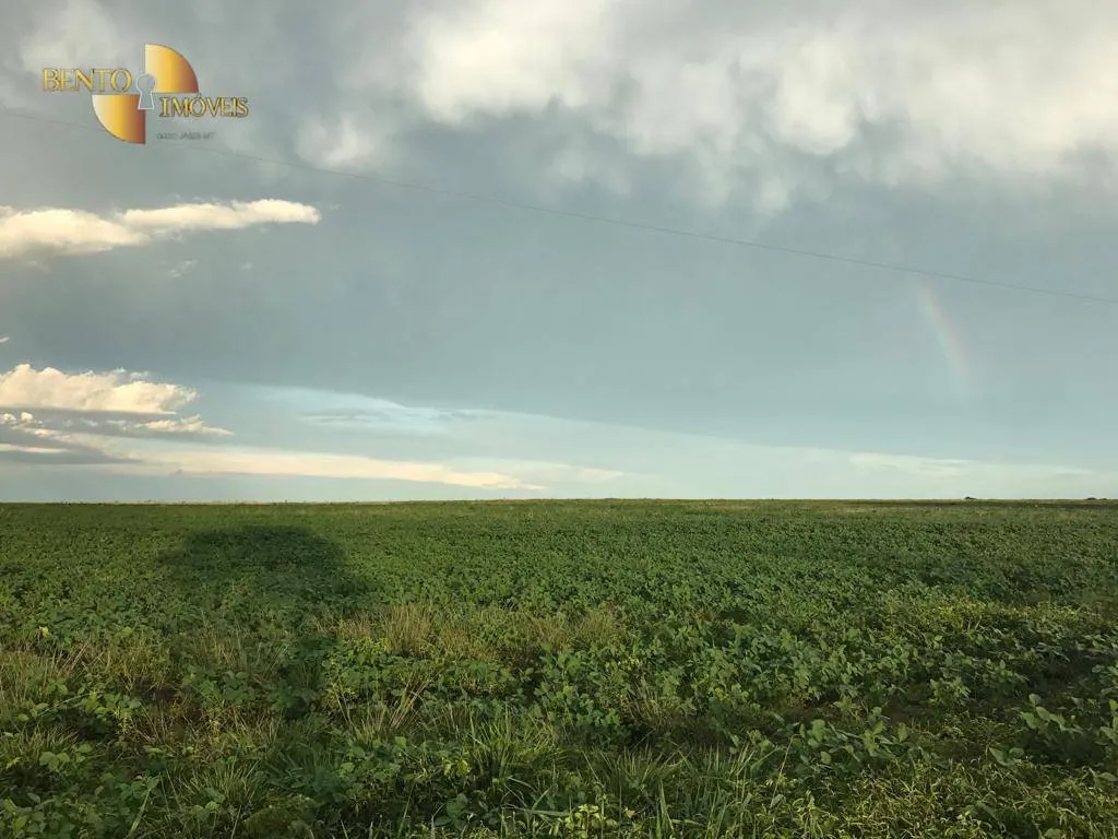 Fazenda à venda de 1.465 ha em Nossa Senhora do Livramento, MT, Brasil