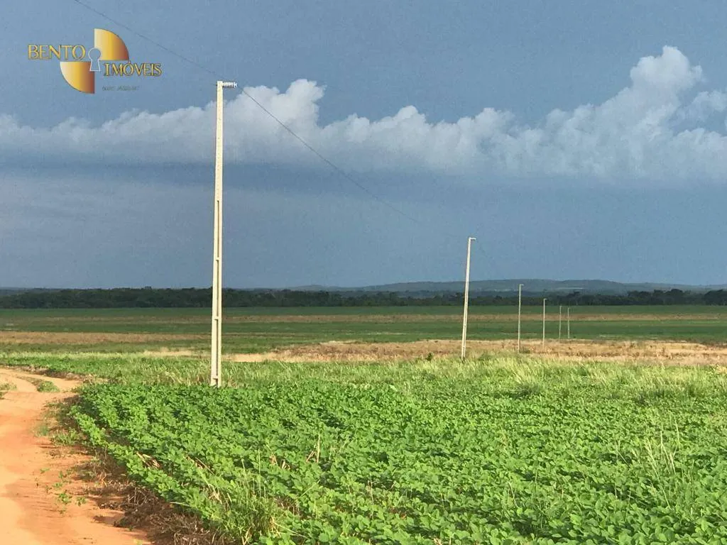 Fazenda à venda de 1.465 ha em Nossa Senhora do Livramento, MT, Brasil