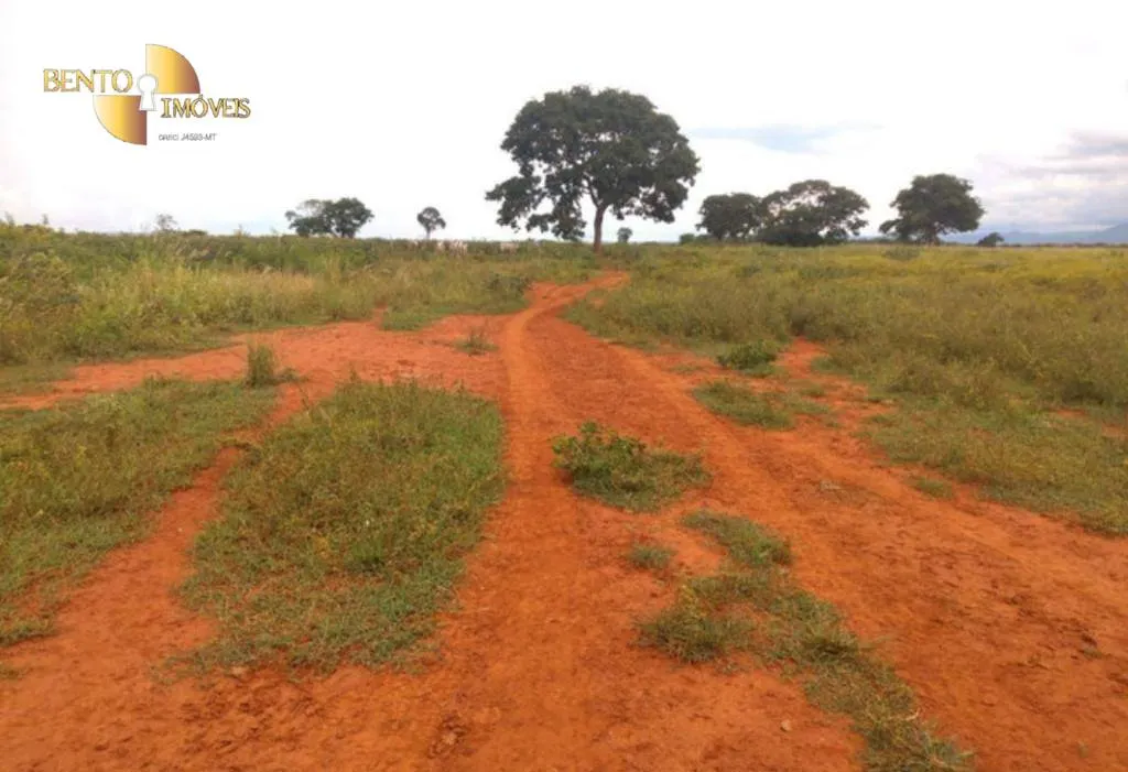 Fazenda à venda de 1.465 ha em Nossa Senhora do Livramento, MT, Brasil