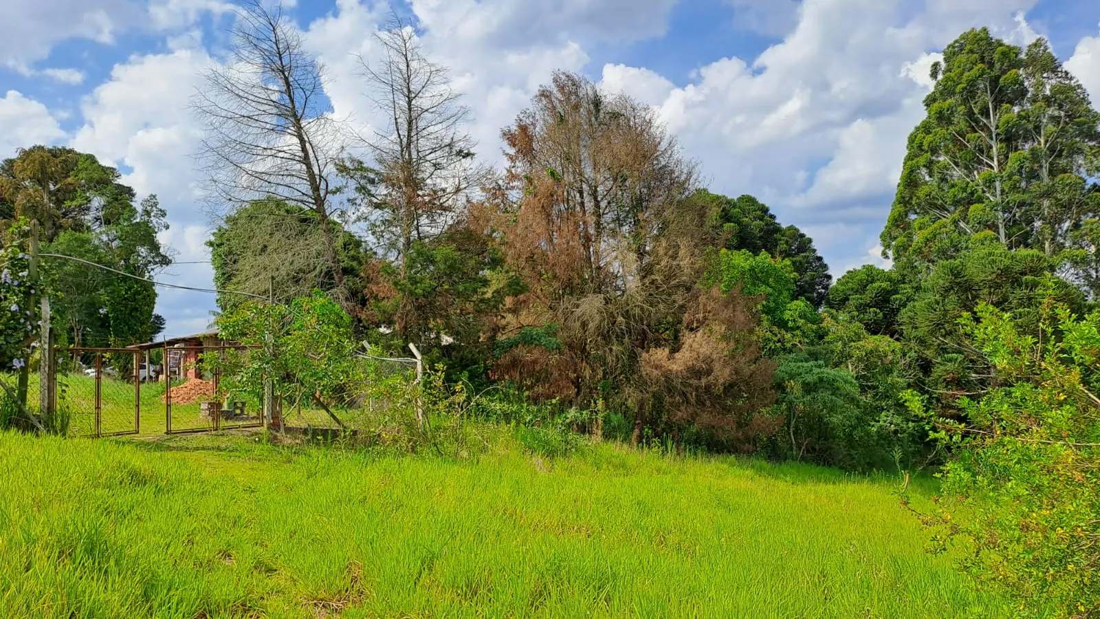 Sítio à venda de 3 ha em São Miguel Arcanjo, SP, Brasil