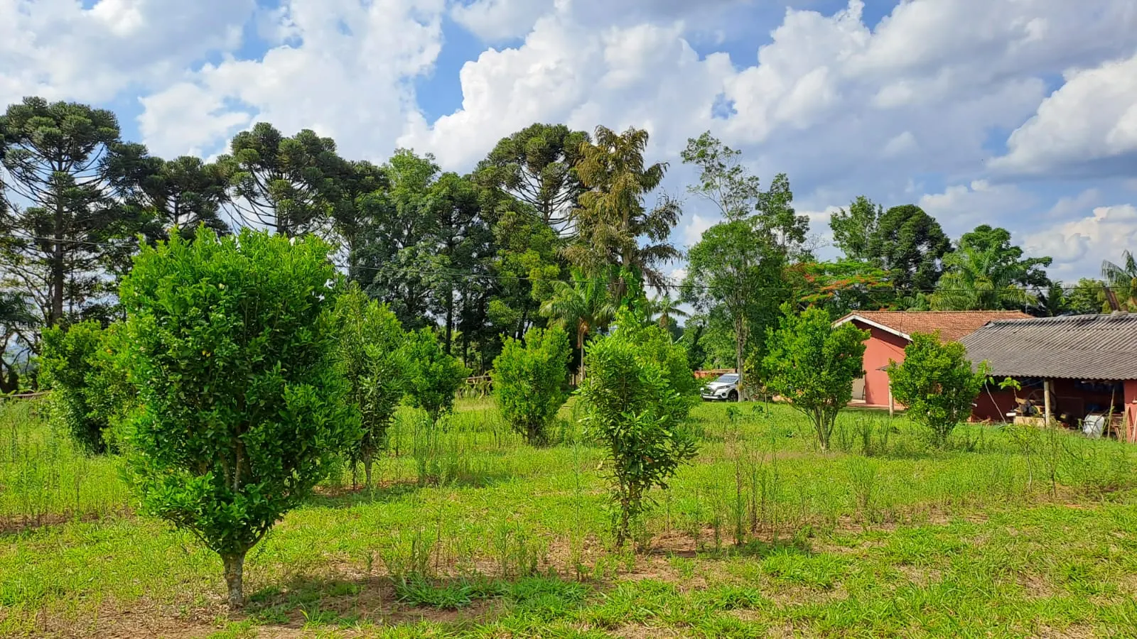 Sítio à venda de 3 ha em São Miguel Arcanjo, SP, Brasil