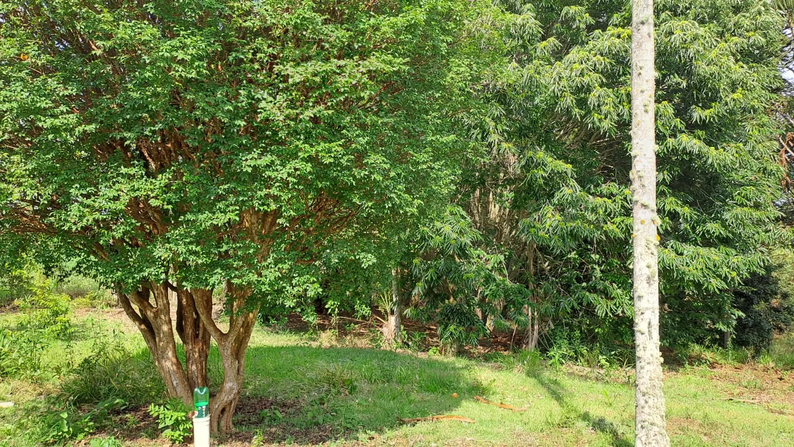 Sítio à venda de 3 ha em São Miguel Arcanjo, SP, Brasil