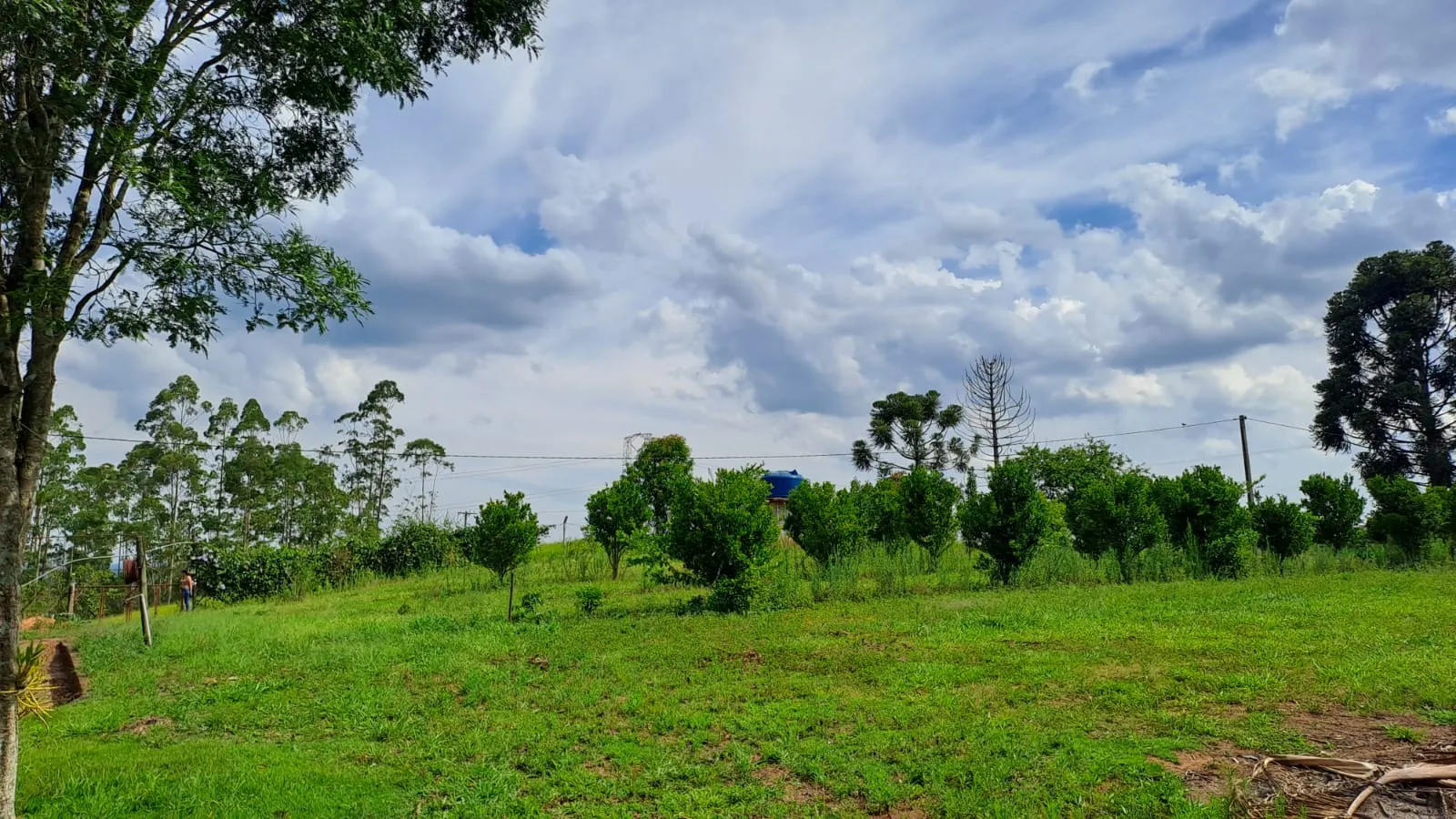 Sítio à venda de 3 ha em São Miguel Arcanjo, SP, Brasil