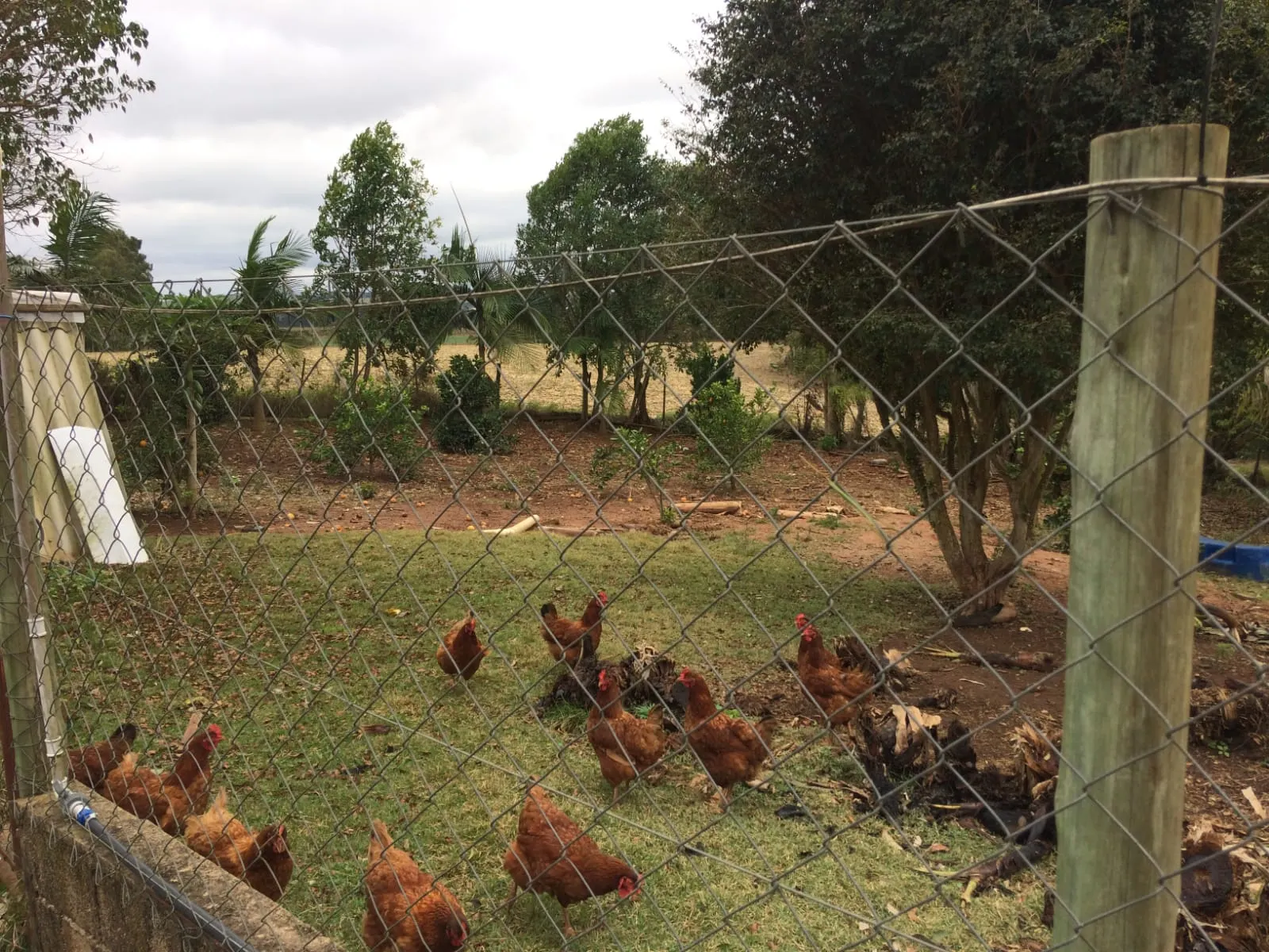 Sítio à venda de 3 ha em São Miguel Arcanjo, SP, Brasil