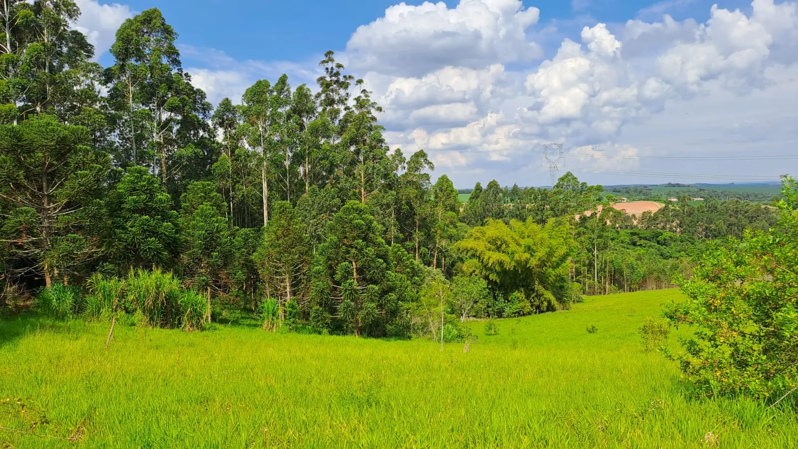 Sítio à venda de 3 ha em São Miguel Arcanjo, SP, Brasil