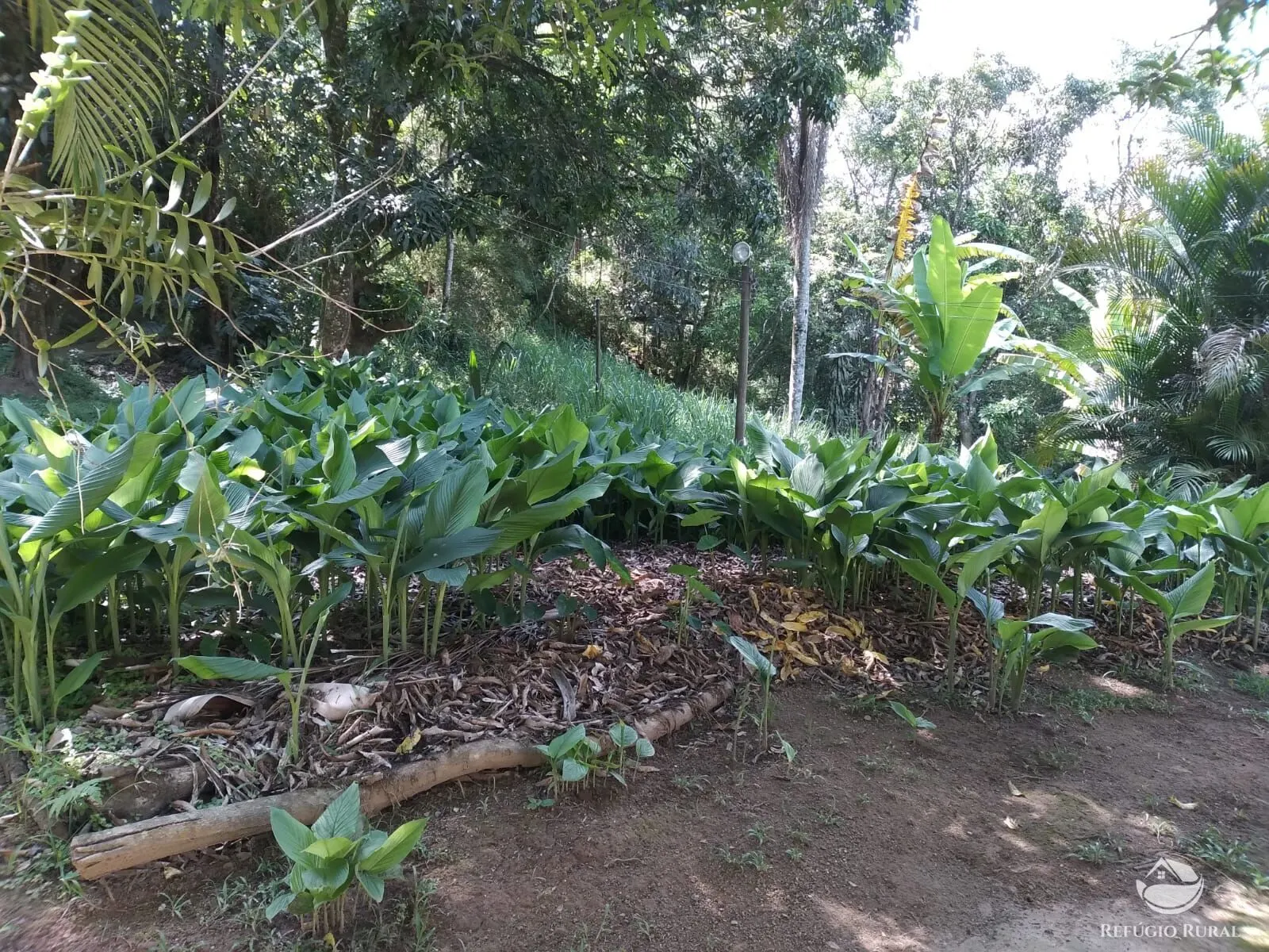 Chácara à venda de 3.000 m² em Monteiro Lobato, SP, Brasil