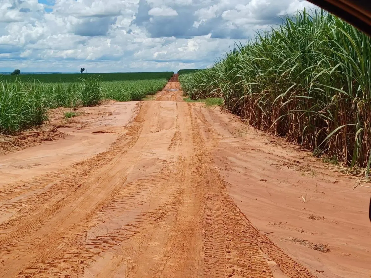 Fazenda à venda de 265 ha em Junqueirópolis, SP, Brasil