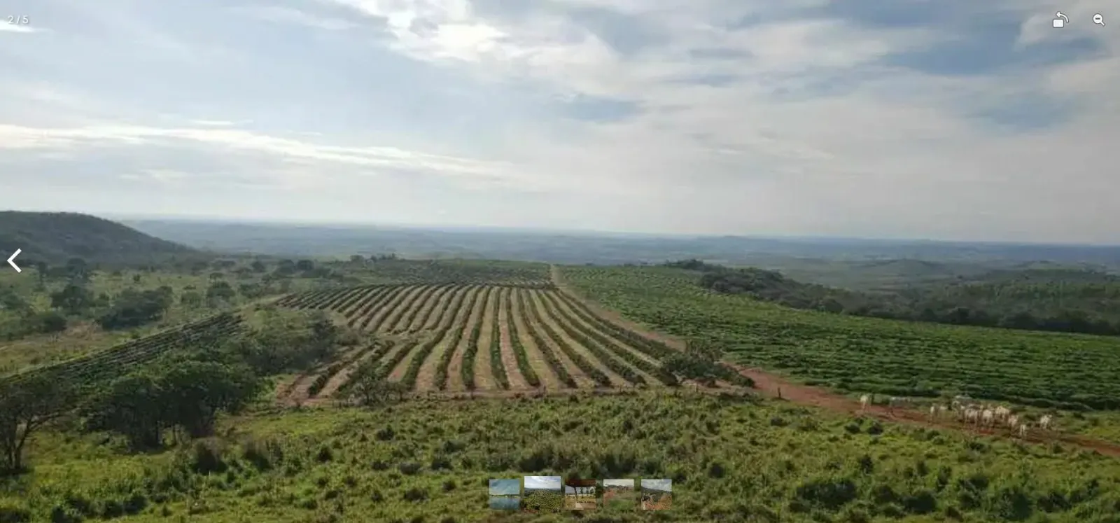 Fazenda à venda de 1.674 ha em Presidente Olegário, MG, Brasil