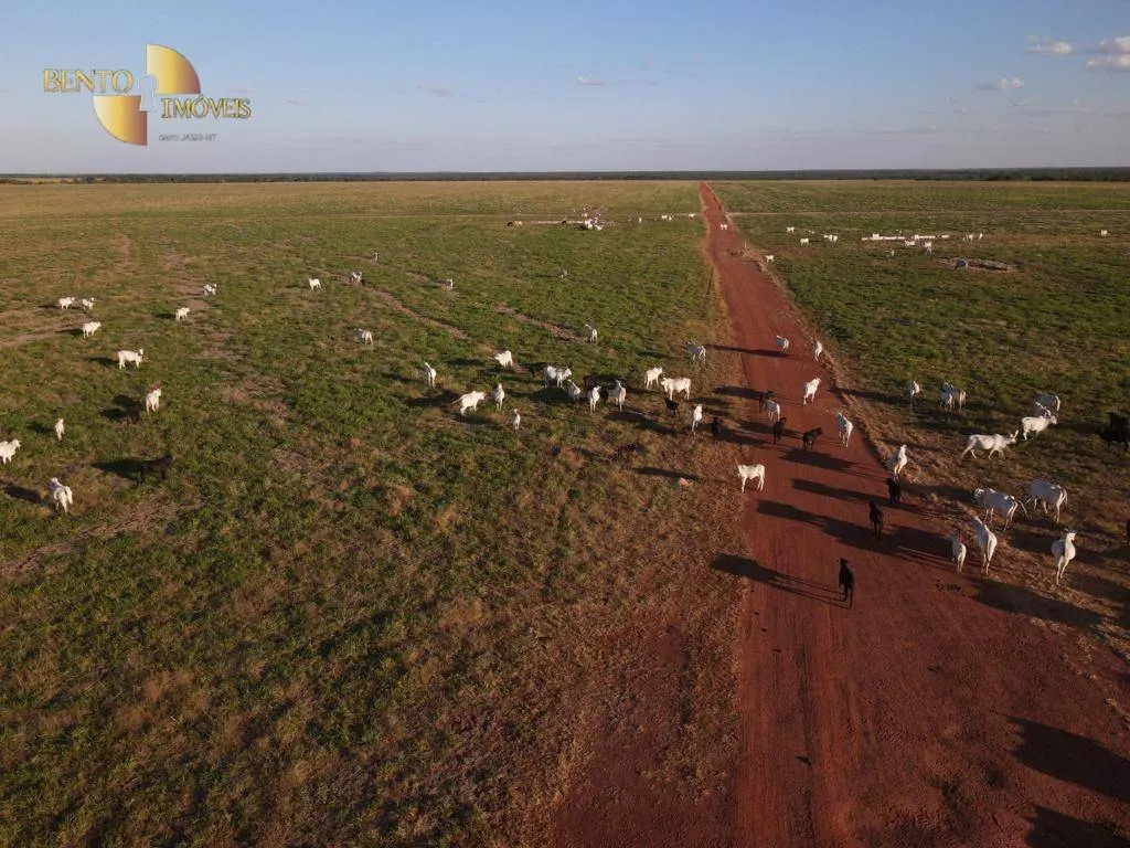 Farm for sale of 96,371 acres in Confresa, MT, Brazil