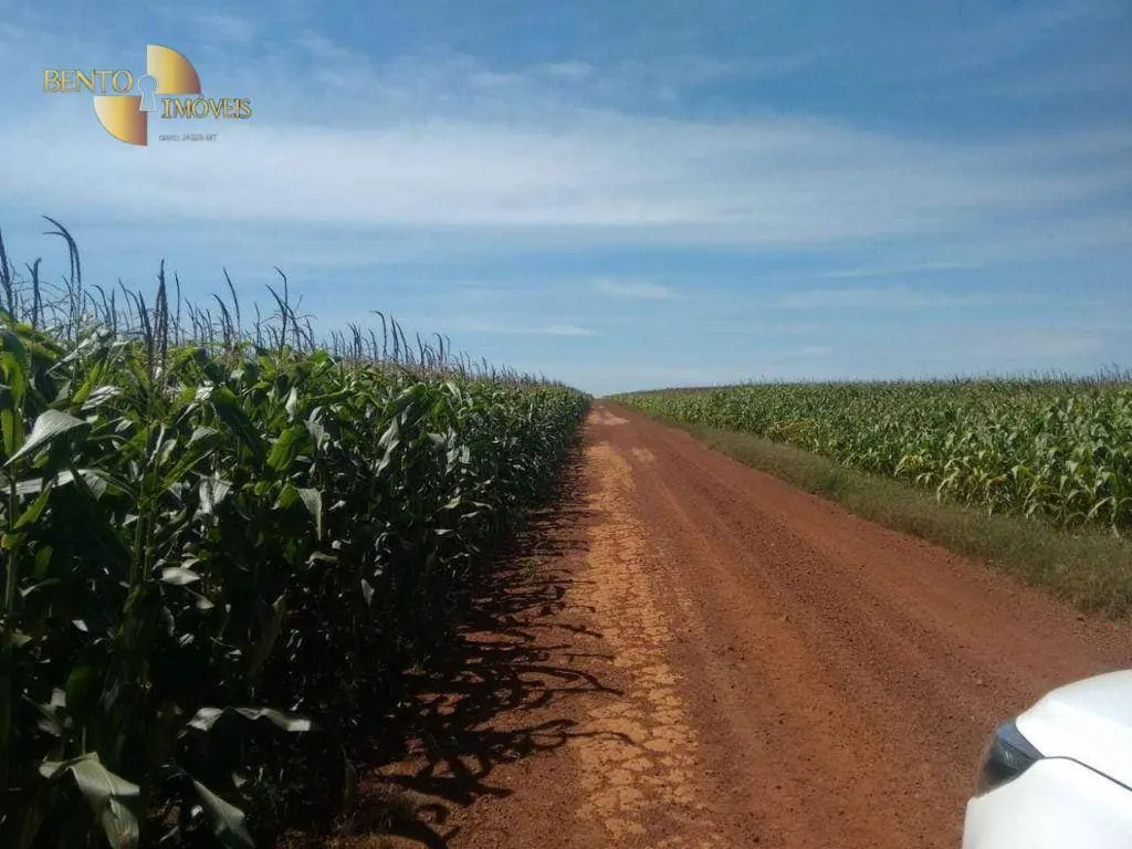 Farm for sale of 96,371 acres in Confresa, MT, Brazil