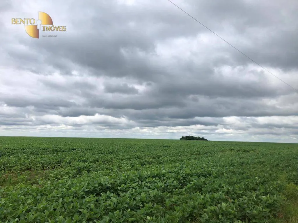 Farm for sale of 96,371 acres in Confresa, MT, Brazil