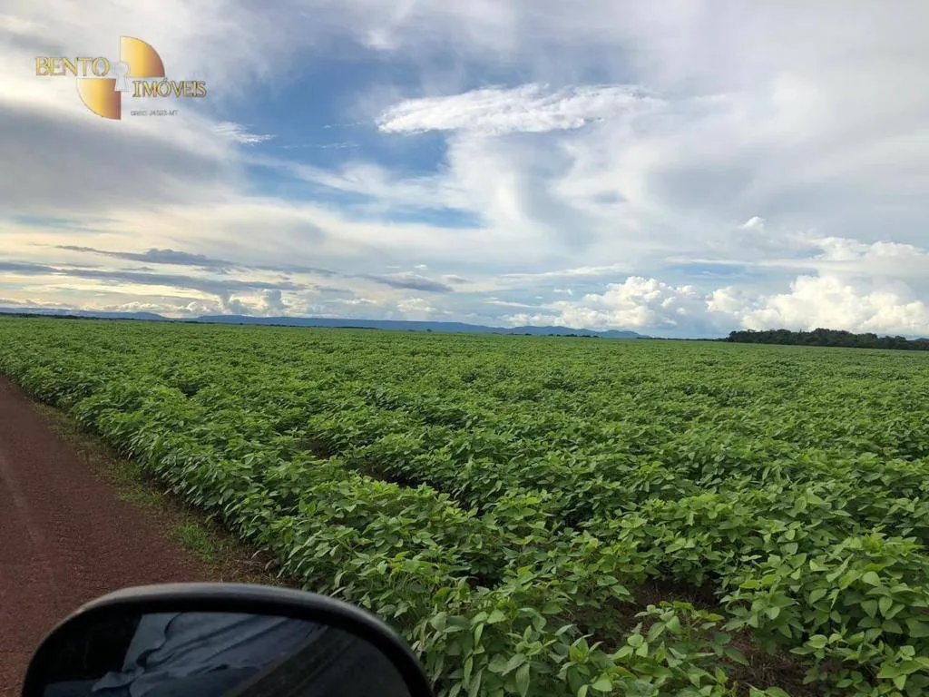 Farm for sale of 96,371 acres in Confresa, MT, Brazil