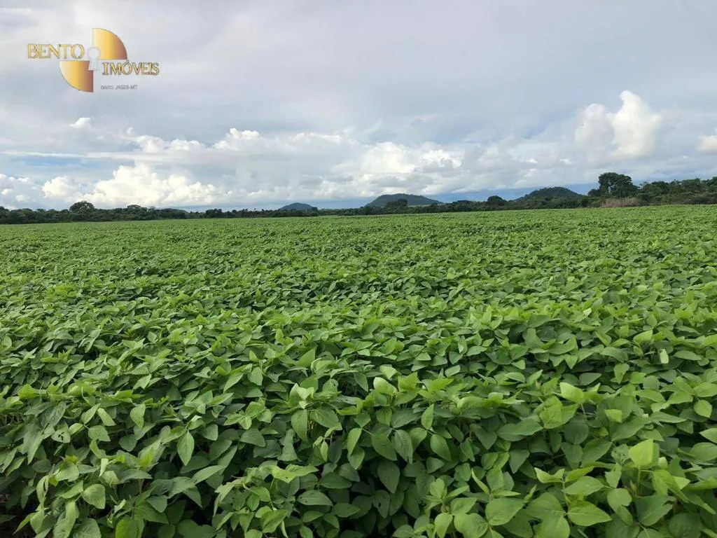 Farm for sale of 96,371 acres in Confresa, MT, Brazil
