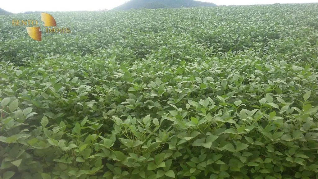 Farm for sale of 96,371 acres in Confresa, MT, Brazil