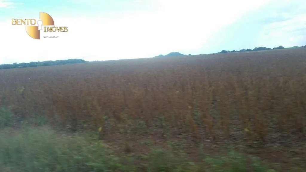 Farm for sale of 96,371 acres in Confresa, MT, Brazil