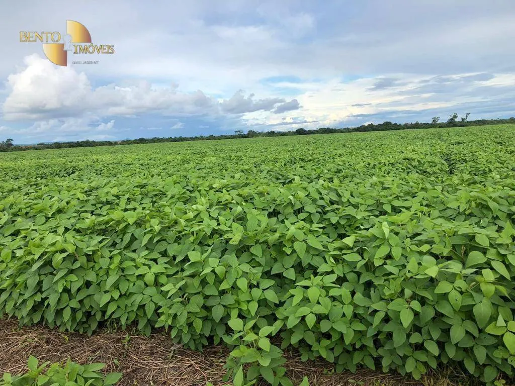 Farm for sale of 96,371 acres in Confresa, MT, Brazil