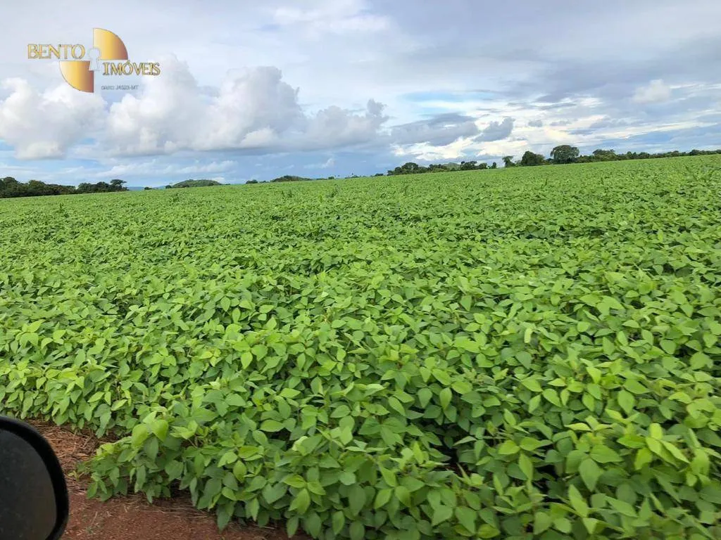 Farm for sale of 96,371 acres in Confresa, MT, Brazil