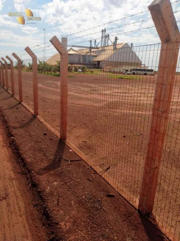 Farm for sale of 96,371 acres in Confresa, MT, Brazil