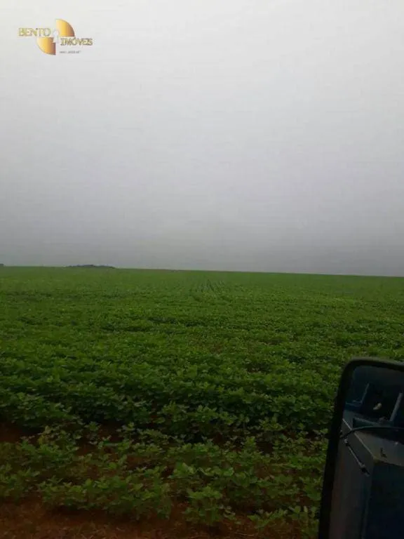 Farm for sale of 96,371 acres in Confresa, MT, Brazil