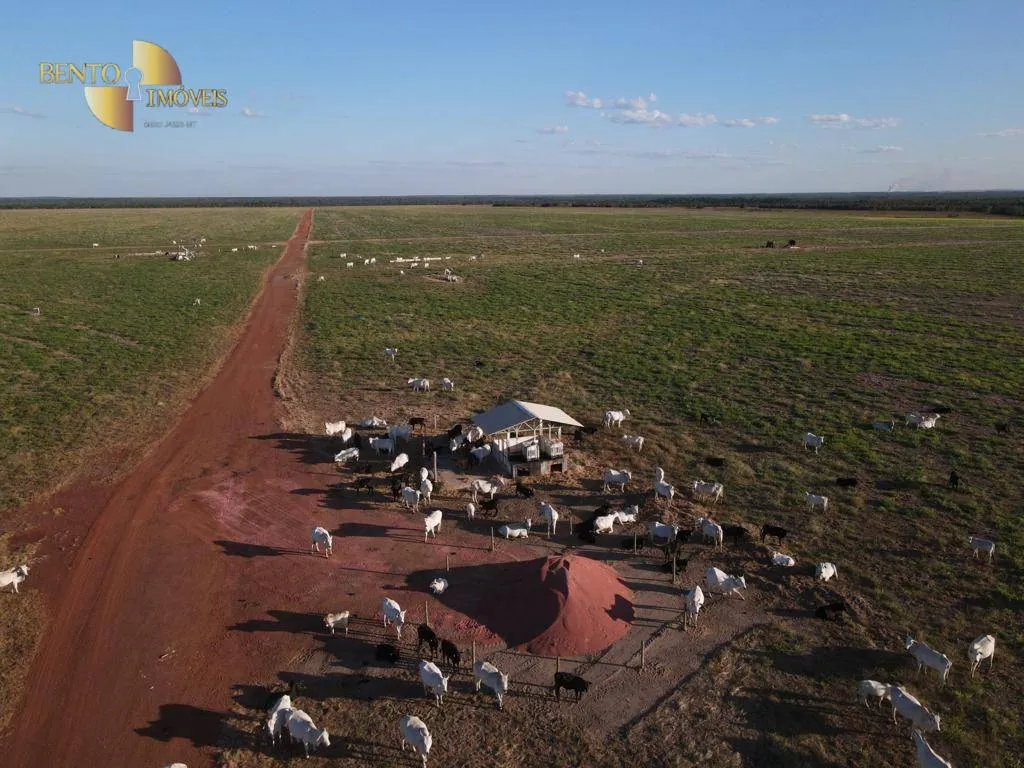 Farm for sale of 96,371 acres in Confresa, MT, Brazil